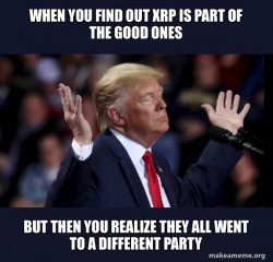 knowing the bull run is here