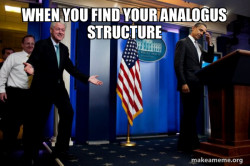 Inappropriate Timing Bill Clinton
