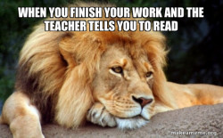 Confession Lion