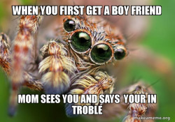 Hipster Spider