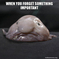 Blobfish