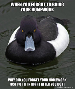 Revenge Duck ( Angry Advice Duck )