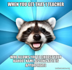 Lame Pun Coon