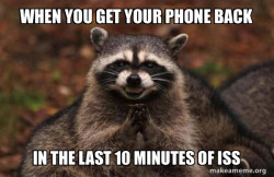 Evil Plotting Raccoon