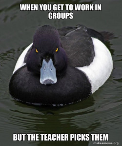 Revenge Duck ( Angry Advice Duck )