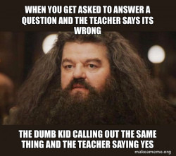 Hagrid - I should not have said that