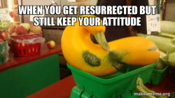 Gourd Advice Mallard