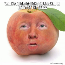 Impeached Donald Trump