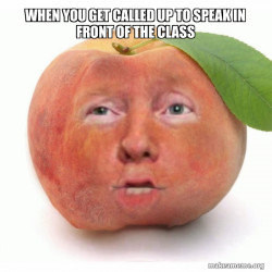 Impeached Donald Trump