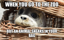 Impending Doom Seal