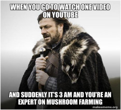 YouTube Doomscrolling 