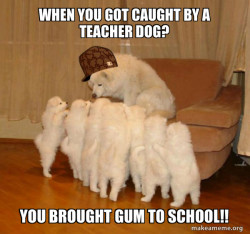 Scumbag Storytelling Dog