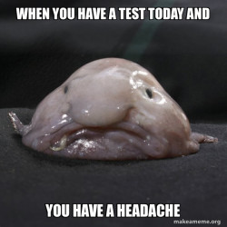 Blobfish