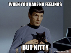 Spock and Cat Meme