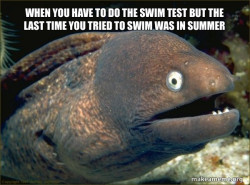 Bad Joke Eel