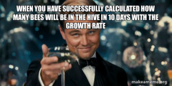Great Gatsby Reaction - Leonardo DiCaprio Toast