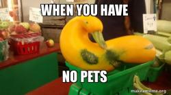 Gourd Advice Mallard