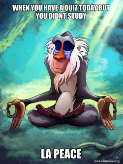 Rafiki Meditating - Lion King