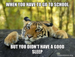 Confession Tiger