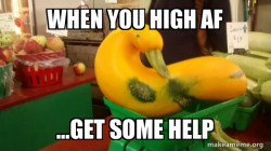 Gourd Advice Mallard