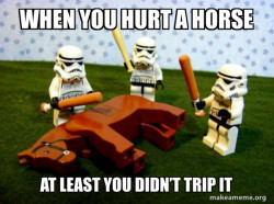 horse abuse 
