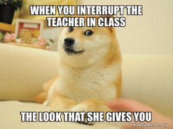 Doge