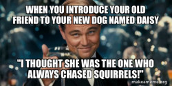 about the old and new daisy and gatsby