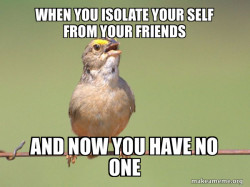 Common Opinion Sparrow