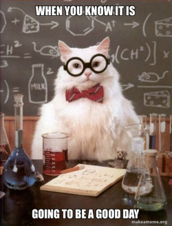 Chemistry Cat