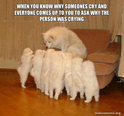 Storytelling Dog