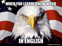 American Pride Eagle
