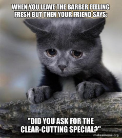 Confession Cat
