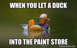 Fashionable Advice Mallard