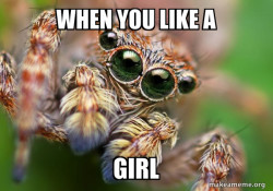 Hipster Spider