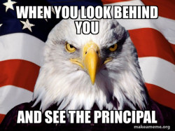 American Pride Eagle