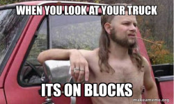 Almost Politically Correct Redneck