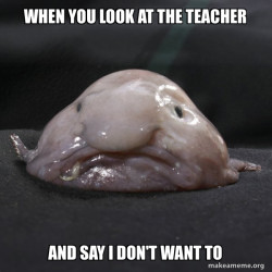 Blobfish