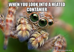 Hipster Spider