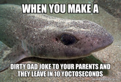 Dirty Joke Dogfish