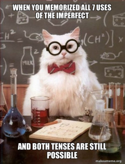 Chemistry Cat