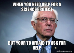 Bernie Sanders