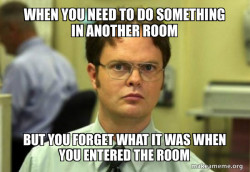 Schrute Facts (Dwight Schrute from The Office)