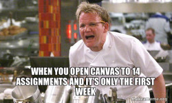 Gordon Ramsay Hell's Kitchen