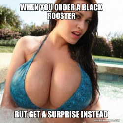 bbc only