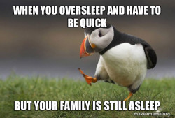 Unpopular Opinion Puffin