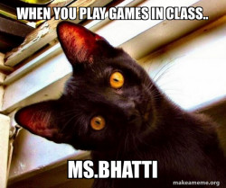 Overly Attached Cat