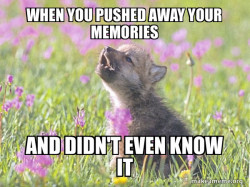 Baby Insanity Wolf