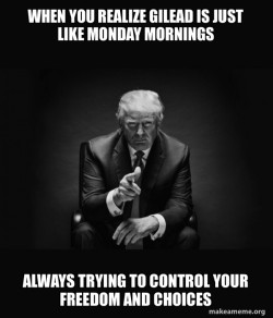 Make this for the Handmaids tale, not a liberal thing just leaning cconservative