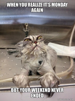 me when school