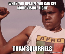 Be Like Meme